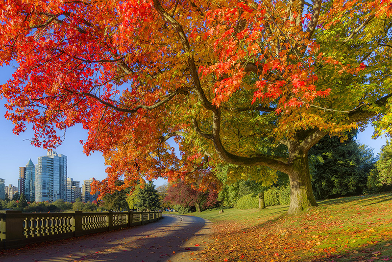 Outono em Vancouver