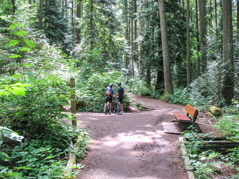Ciclistas fazendo trilhas no Pacific Spirit Regional Park em Vancouver