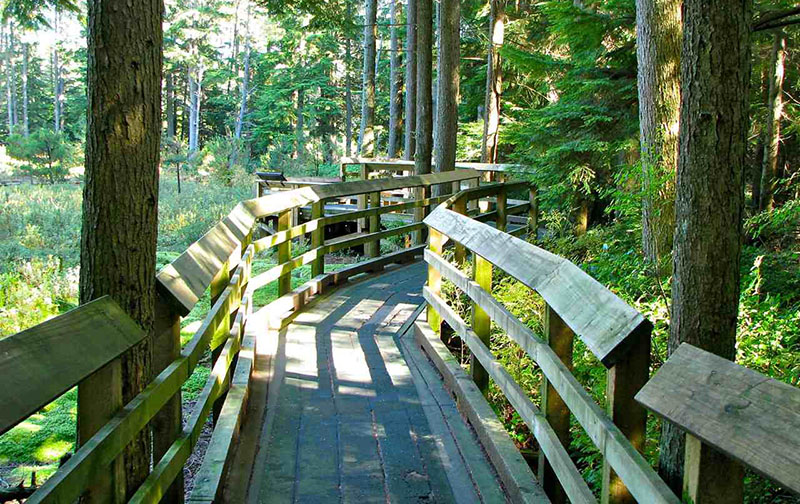 Sinalização de trilhas no Pacific Spirit Regional Park em Vancouver