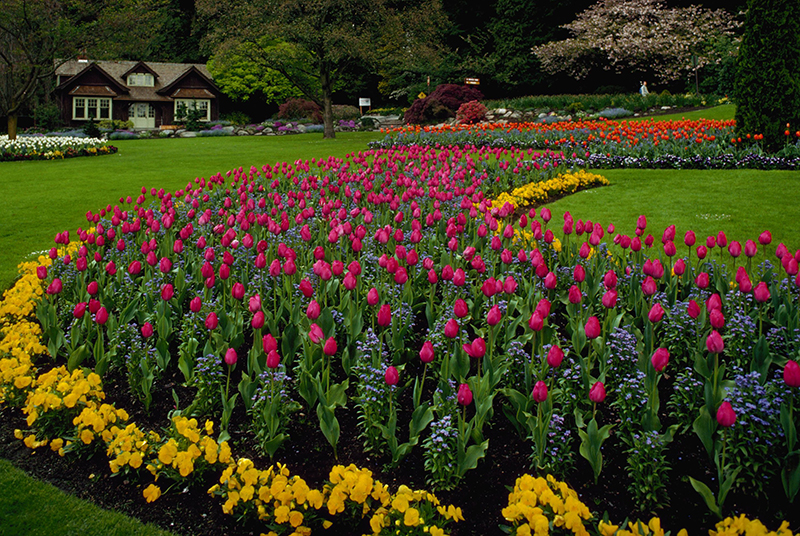 Jardins do Stanley Park em Vancouver