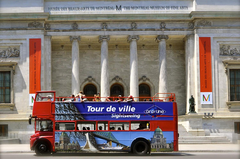 Tour guiado de ônibus nos pontos turísticos de Montreal