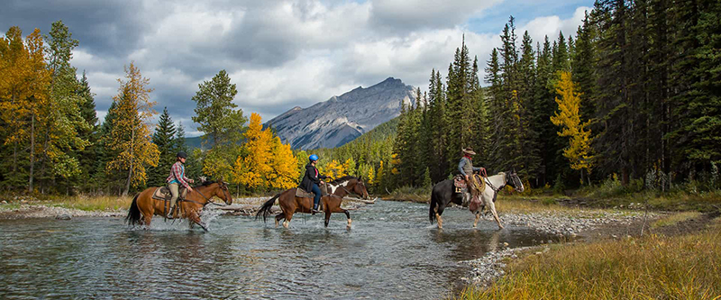 Rota do passeio a cavalo no Parque Nacional em Banff