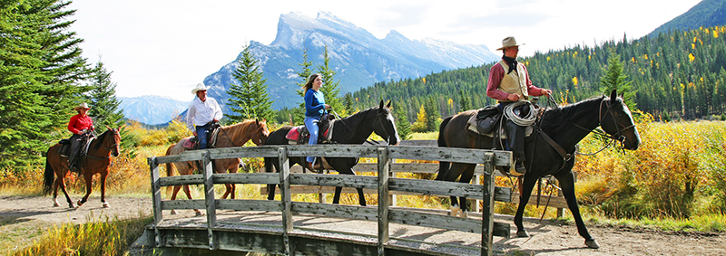 Grupo do passeio a cavalo no Parque Nacional em Banff