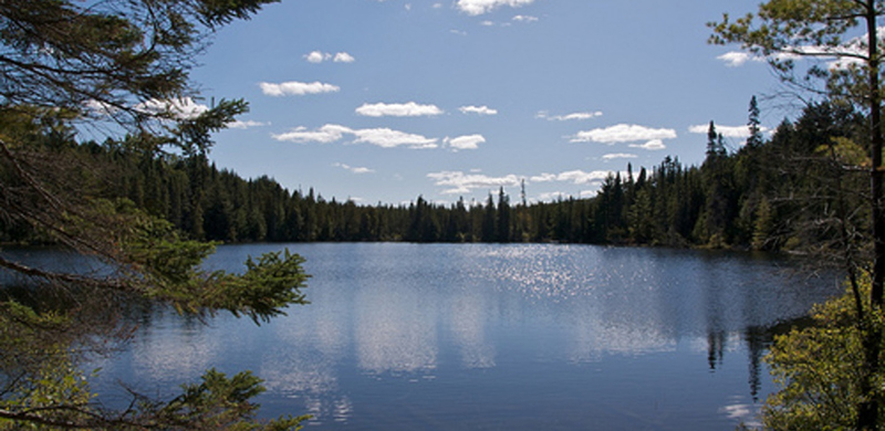 Lago no Algonquin Provincial Park em Toronto