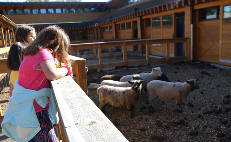 Crianças visitando o Valley Zoo em Edmonton