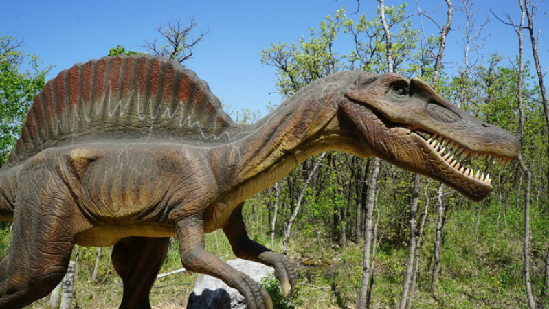 Área dos dinossauros no Assiniboine Zoo