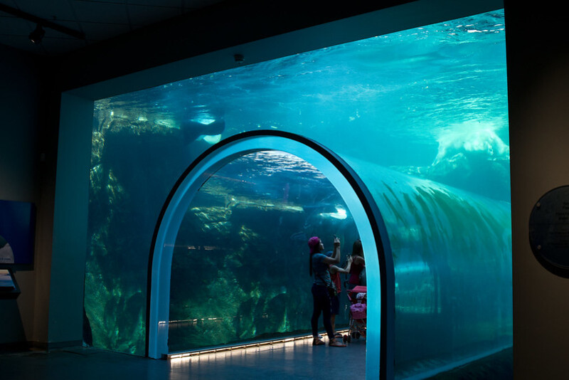 Túnel no Assiniboine Zoo