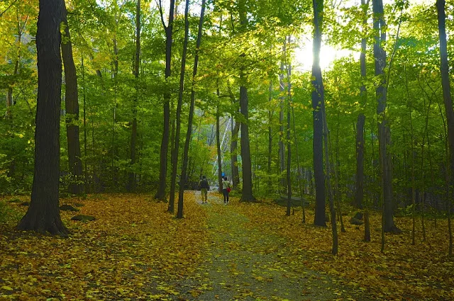 Parque Mont Royal em Montreal