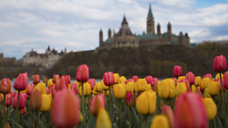 Primavera em Ottawa