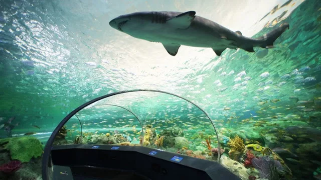 Vancouver Aquarium