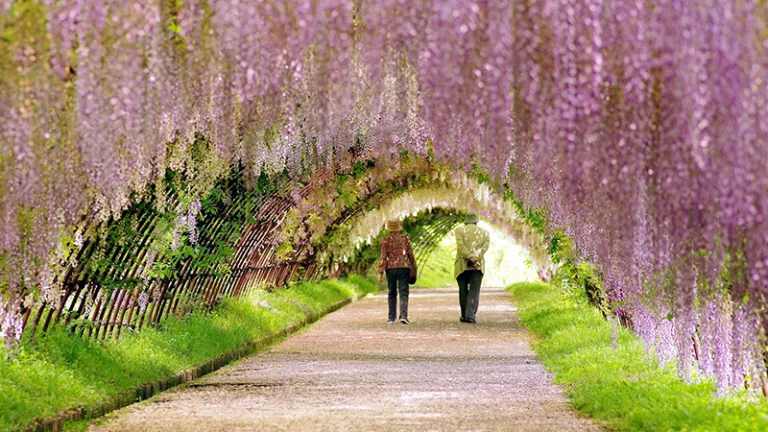 Primavera em Calgary