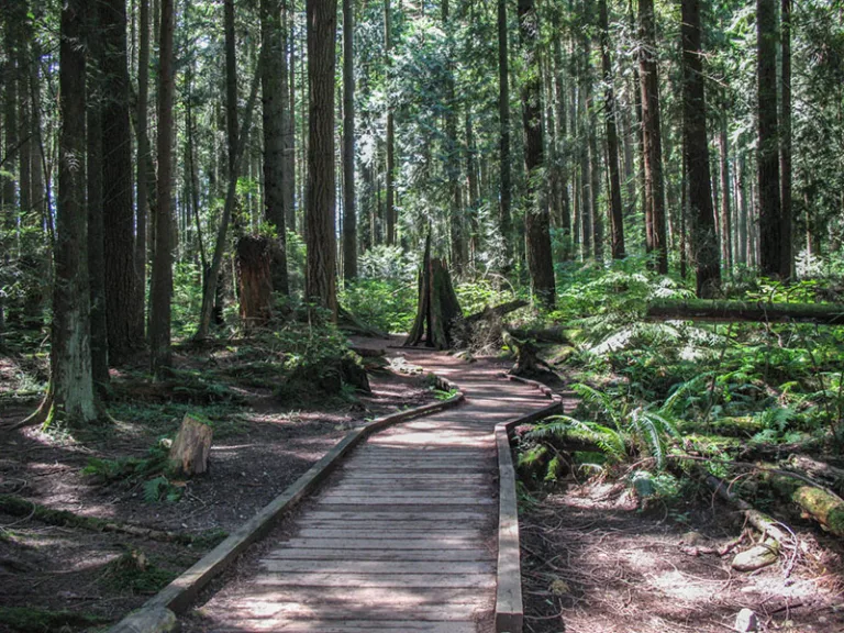 Pacific Spirit Regional Park em Vancouver