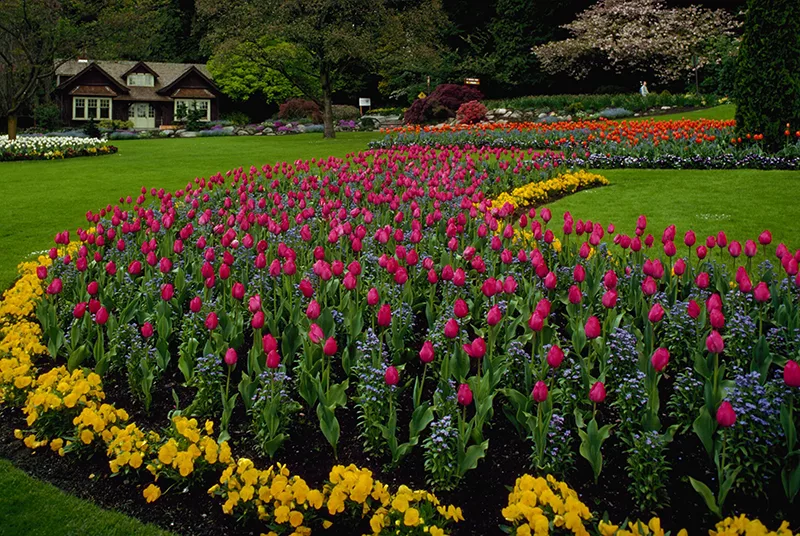 Jardins do Stanley Park em Vancouver