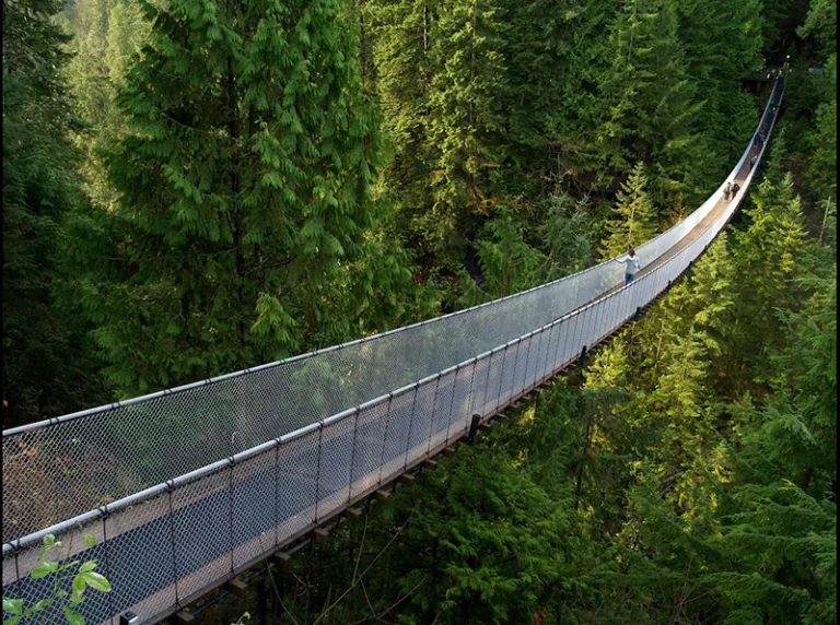 Excursão na Ponte Capilano em Vancouver